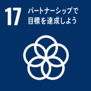 17 パートナーシップで 目標を達成しよう