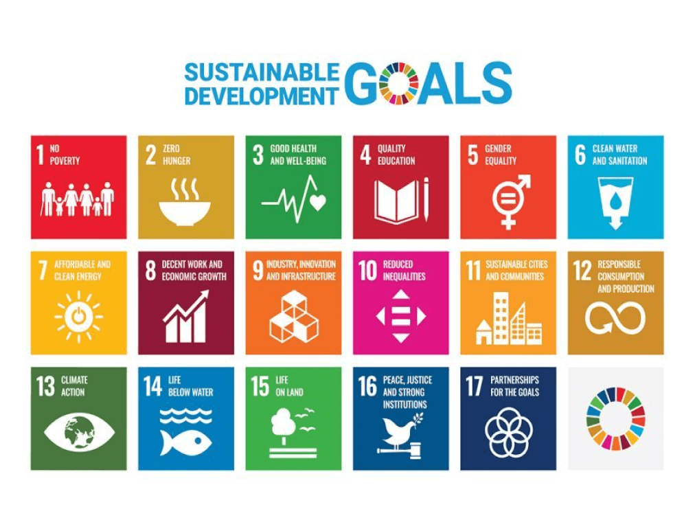 SUSTAINABLE DEVELOPMENT GOALS